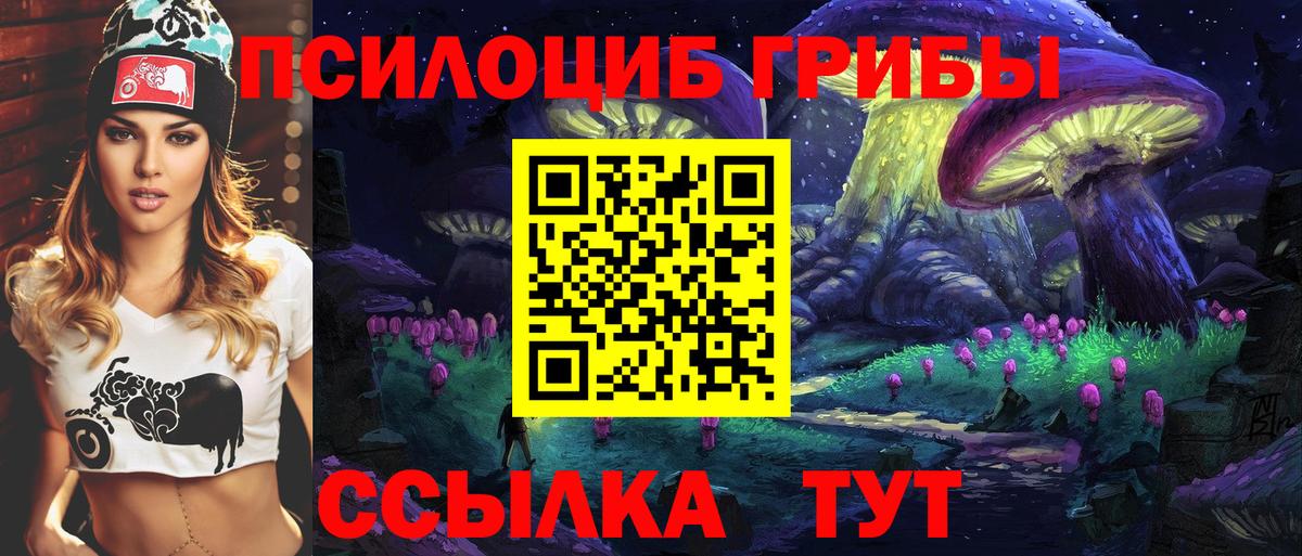 Псилоцибиновые грибы Psilocybine cubensis Зеленогорск