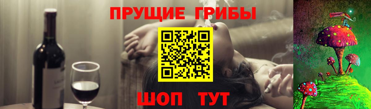 Зеленогорск  Галлюциногенные грибы Cubensis  Вход с VPN 