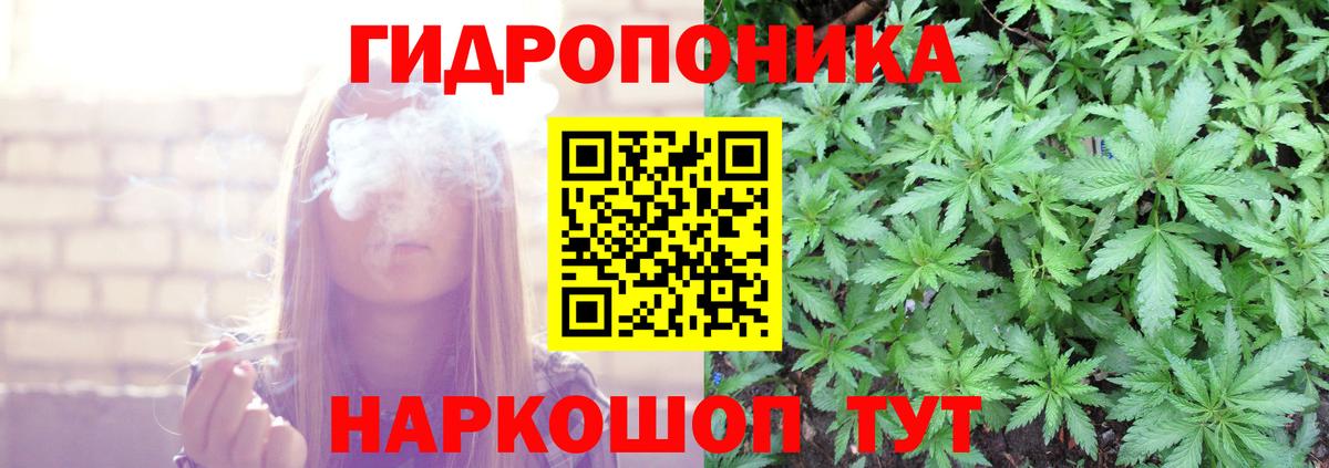 Каннабис OG Kush Зеленогорск
